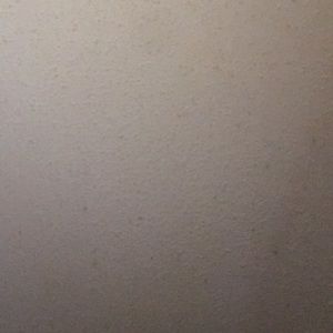 Meet your Posher, Freddie